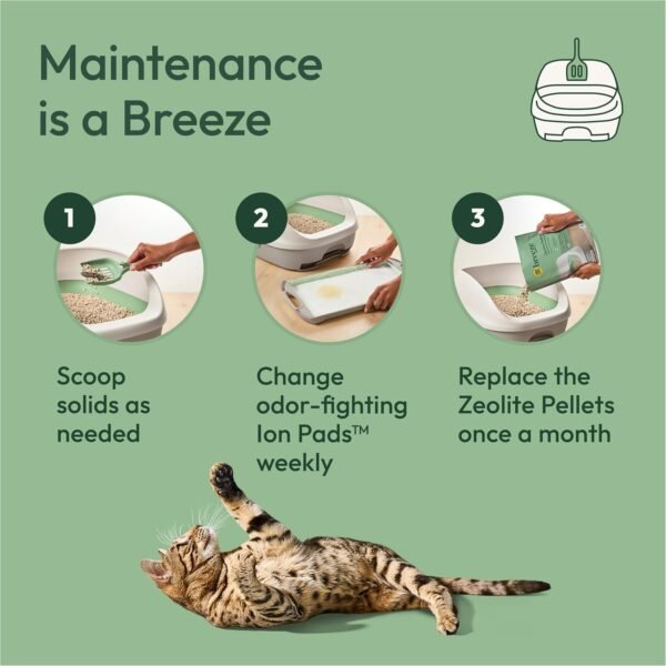 71VRPVWh3gL._AC_SL1500_ Purina Tidy Cats Litter Box System, BREEZE System Starter Kit Litter Box, Litter Pellets & Pads