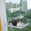 Suction Cup Pet Hammock For Cat For Sleeping