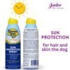 Sun protection for hair and skin the dog