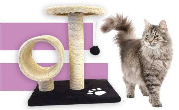 Screenshot_14-10-2025_171544_www.instagram.com Cat Scratching