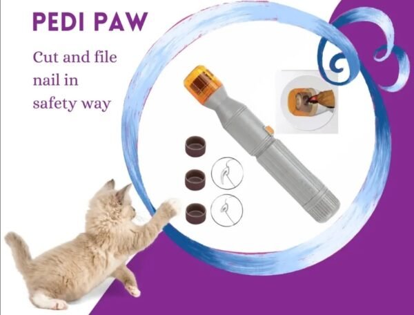 Screenshot_16-10-2025_125629_www.instagram.com Pedi Paw Cut And File Nail in Safety Way