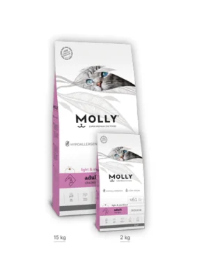 Molly Sterilised indoor Chicken