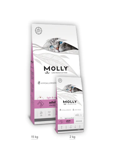 Molly Sterilised indoor Chicken