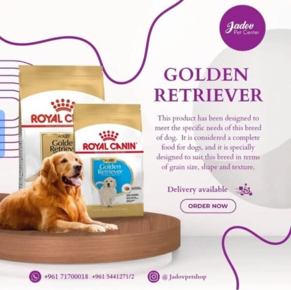 Golden Retriever Adult 12 Kg