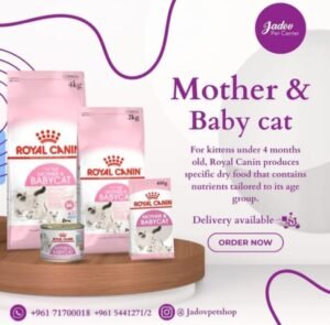 Mother & Babycat 2 Kg