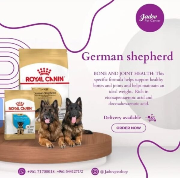 German Shepherd Adult 12 Kg