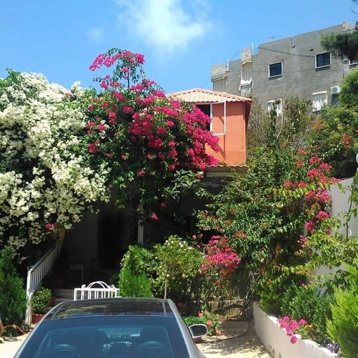 WhatsApp Image 2026-01-29 at 02.01.49 (2)