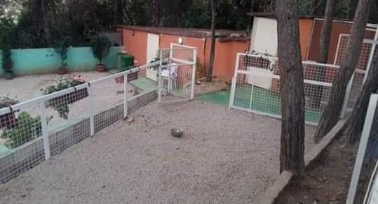 WhatsApp Image 2026-01-29 at 02.05.54 (1)