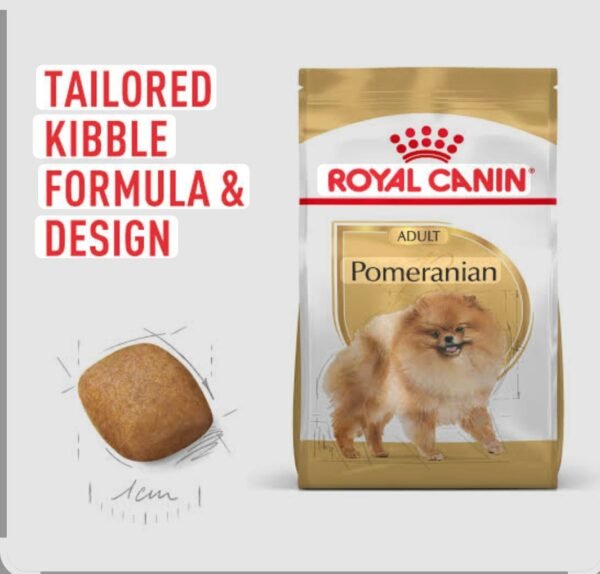 Pomeranian Adult 1.5 Kg