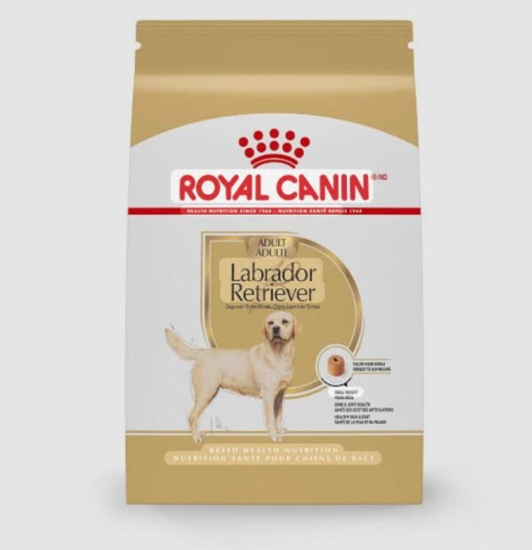 Labrador Retriever Adult 12 Kg